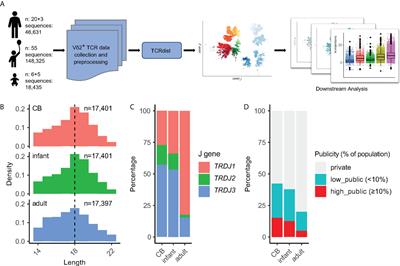 Systematic pattern analyses of Vδ2+ TCRs reveal that shared “public” Vδ2+ γδ T cell clones are a consequence of rearrangement bias and a higher expansion status